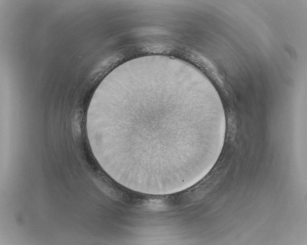 X0000115420114200912151611