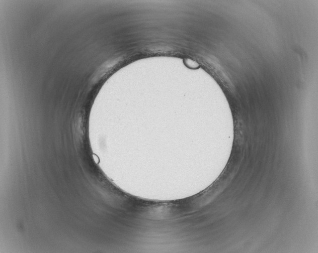 X0000115420116200912151611