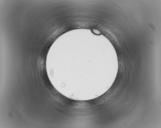X0000115420123200912151611