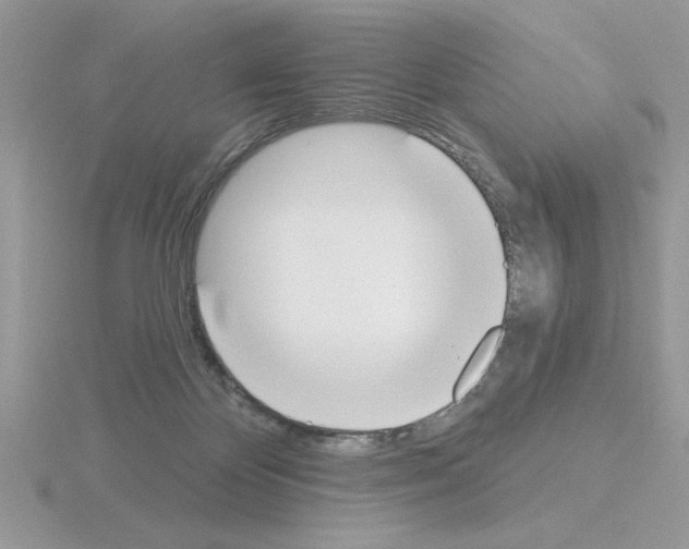 X0000115420124200912151611