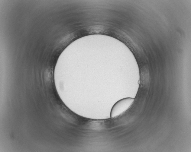 X0000115420126200912151611