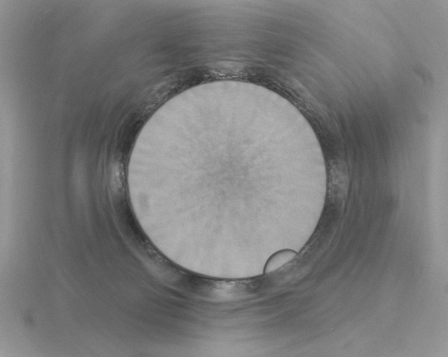 X0000115420130200912151611