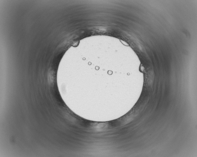 X0000115420135200912151611