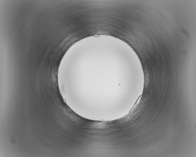 X0000115420140200912151611