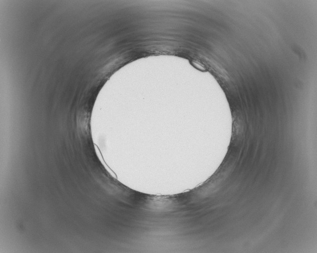 X0000115420141200912151611