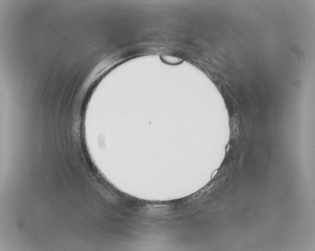 X0000115420150200912151610