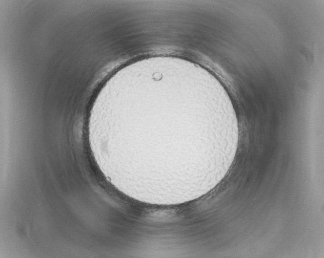 X0000115420155200912151610