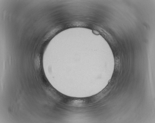 X0000115420158200912151610