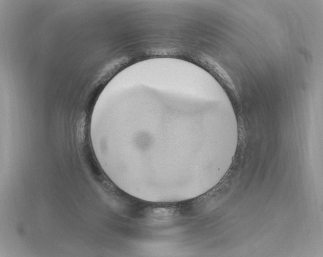 X0000115420163200912151610