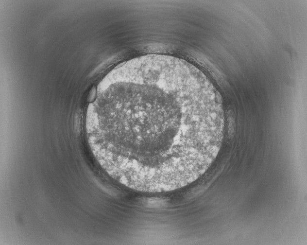 X0000115420165200912151610