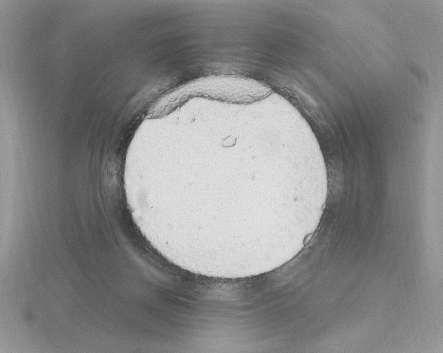 X0000115420166200912151610