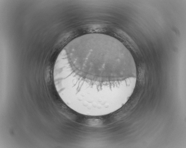 X0000115420169200912151611