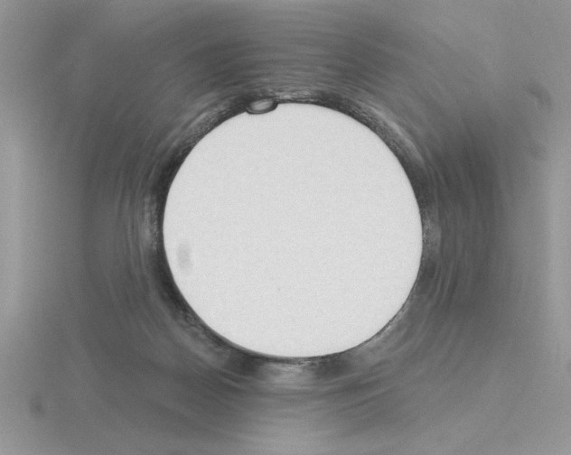 X0000115420170200912151611