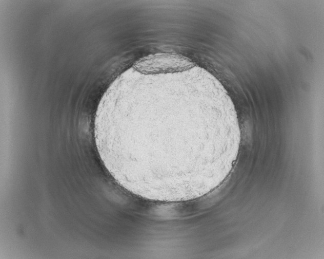 X0000115420178200912151611
