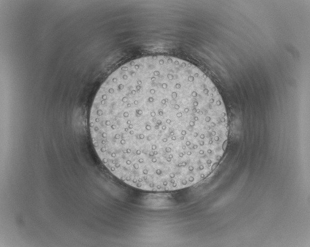 X0000115420179200912151611