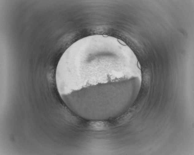 X0000115420181200912151611