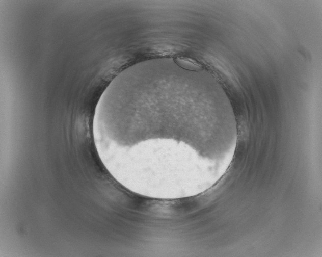 X0000115420182200912151611