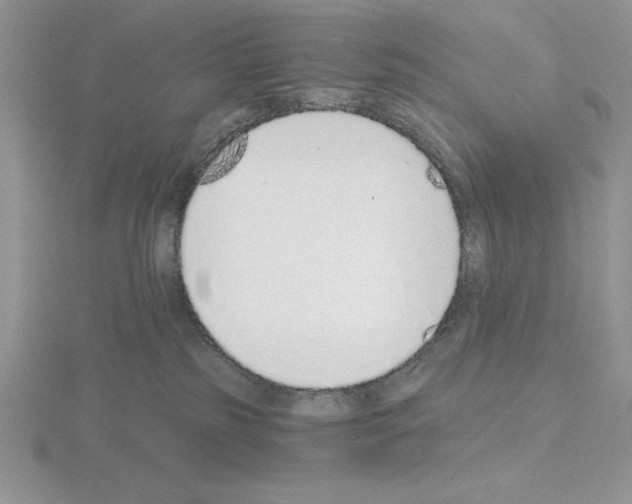 X0000115420185200912151611