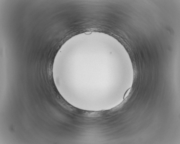 X0000115420186200912151611