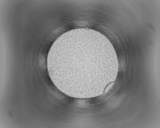 X0000115420187200912151611