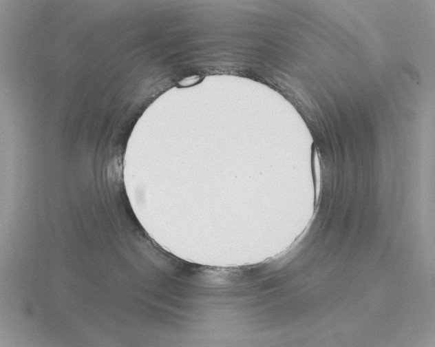 X0000115420190200912151611