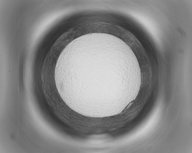 X0000115420191200912151611