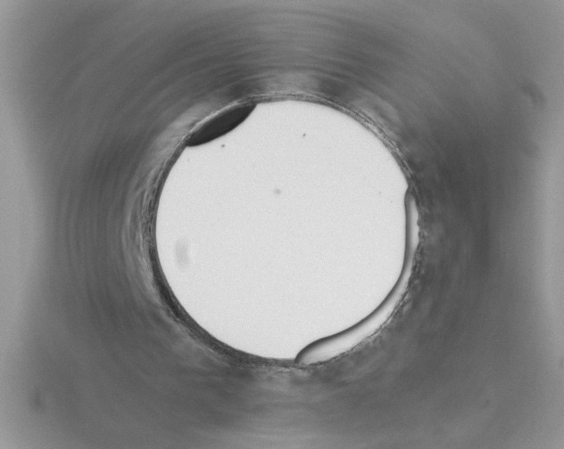X0000115420193200912151610