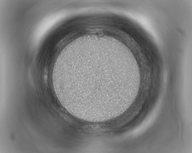 X0000115420194200912151610