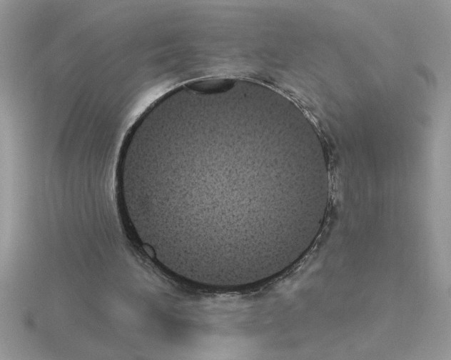 X0000115420196200912151610