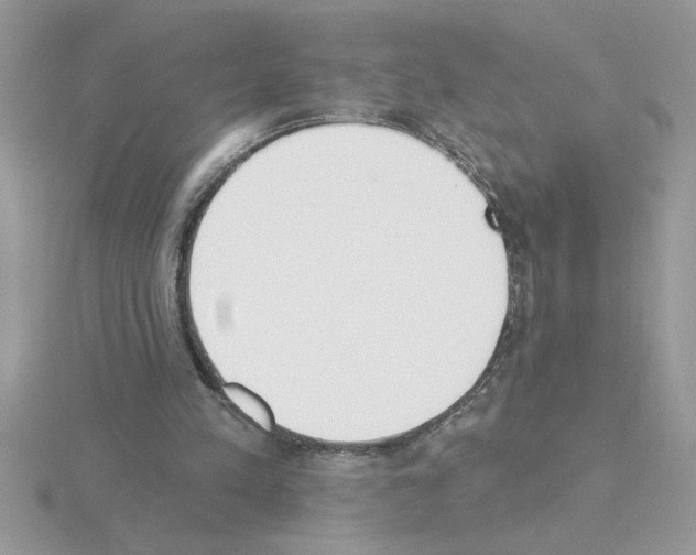 X0000115420197200912151610