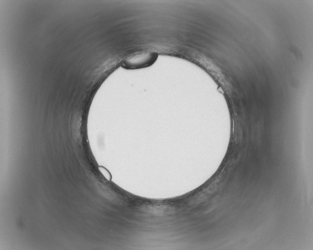 X0000115420201200912151610
