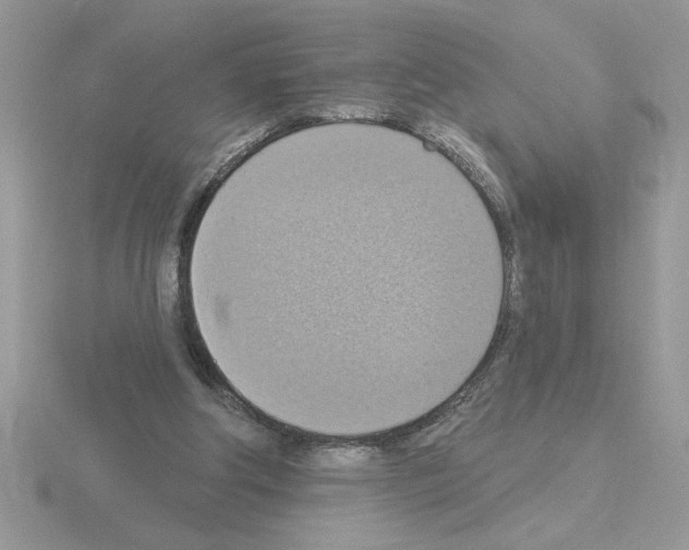 X0000115420202200912151610