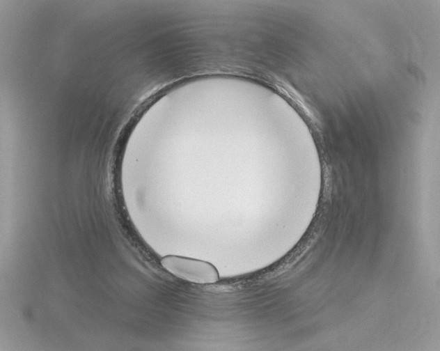 X0000115420203200912151610