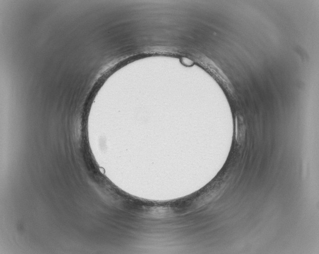 X0000115420204200912151610