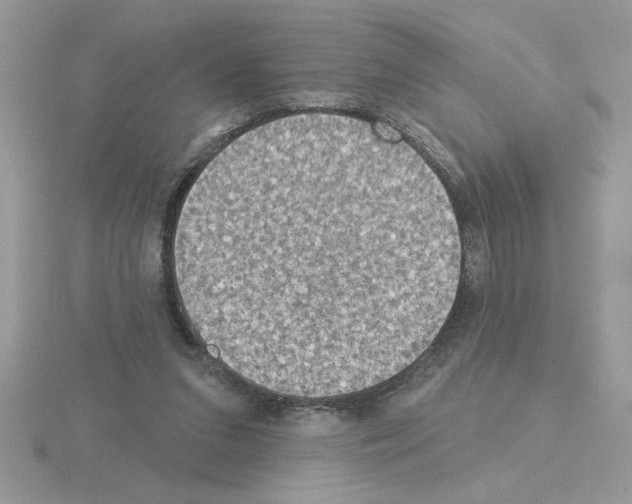 X0000115420207200912151610