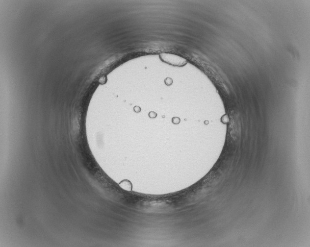 X0000115420208200912151610