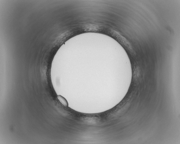 X0000115420209200912151610