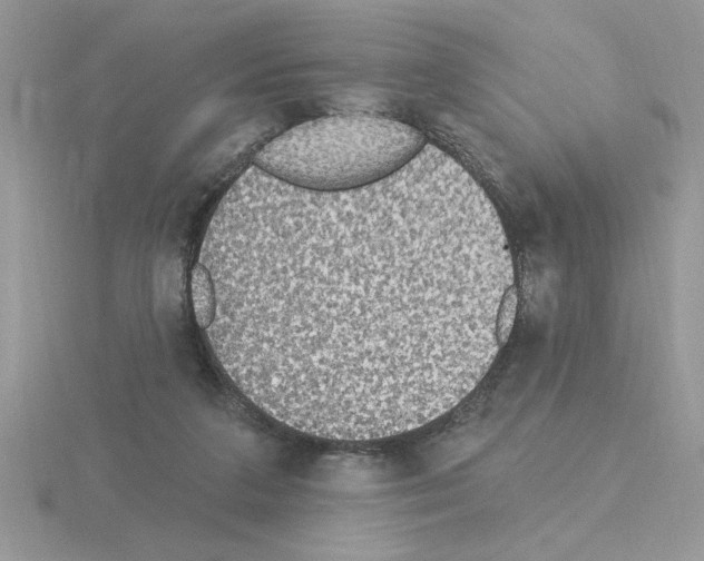 X0000115420211200912151610