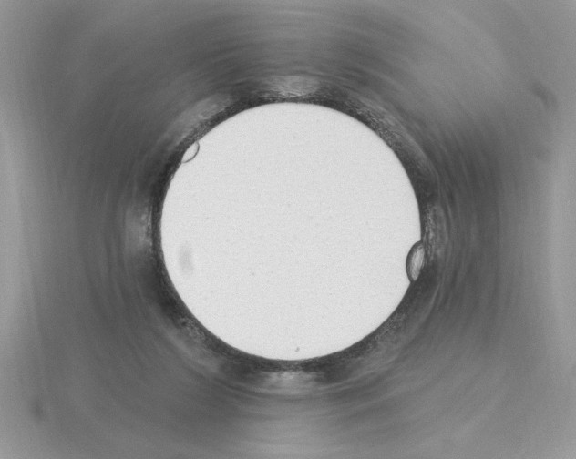 X0000115420212200912151610