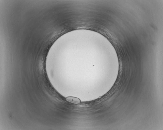 X0000115420215200912151610