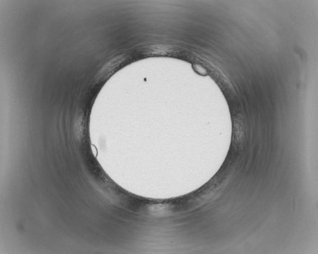 X0000115420216200912151610