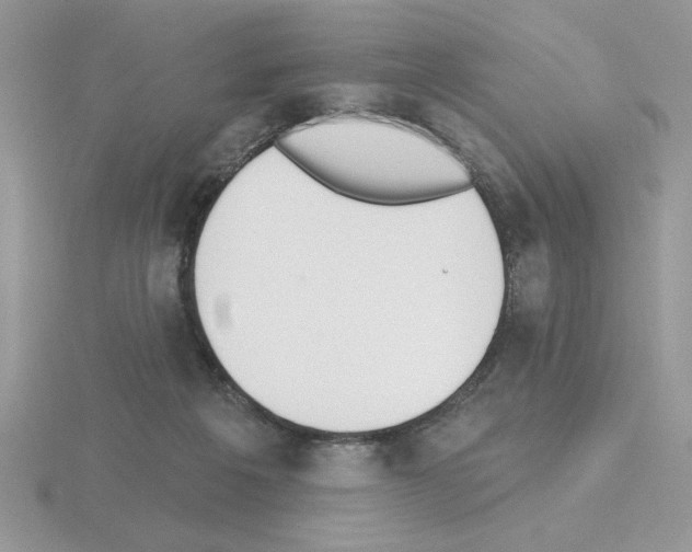 X0000115420217200912151610