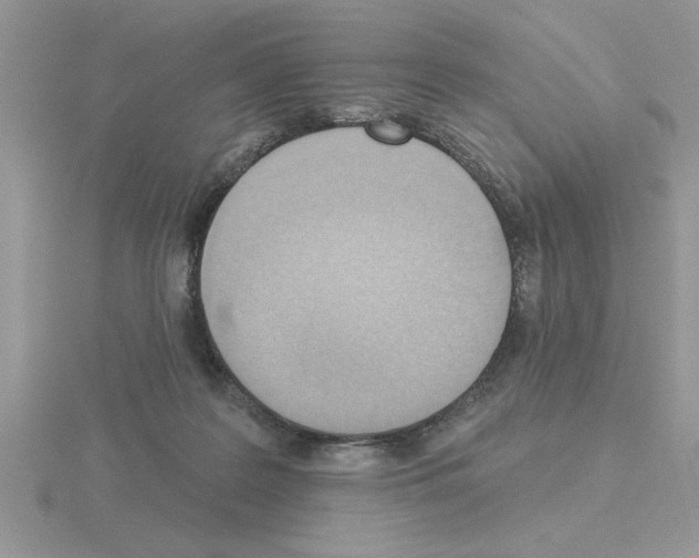 X0000115420219200912151610