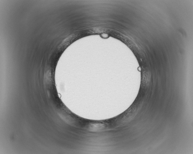 X0000115420220200912151610