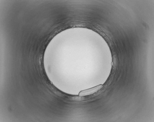 X0000115420225200912151610
