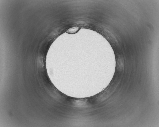 X0000115420232200912151610