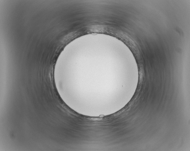 X0000115420233200912151610