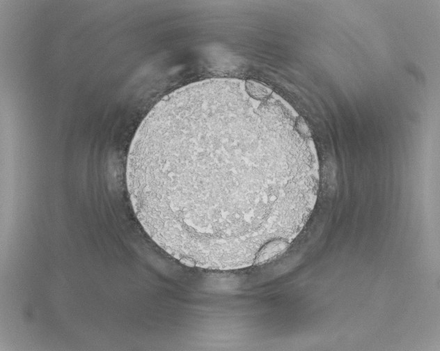 X0000115420234200912151610