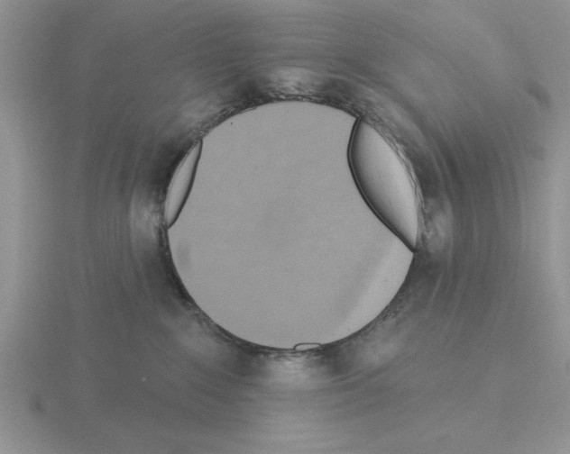 X0000115420235200912151610
