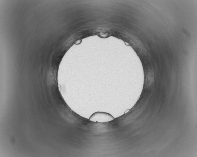 X0000115420236200912151610